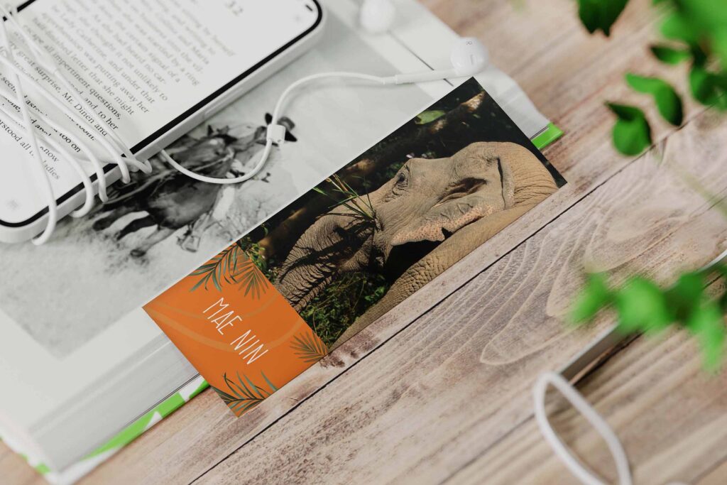 mekong-elephant-park-bookmark-bg-8