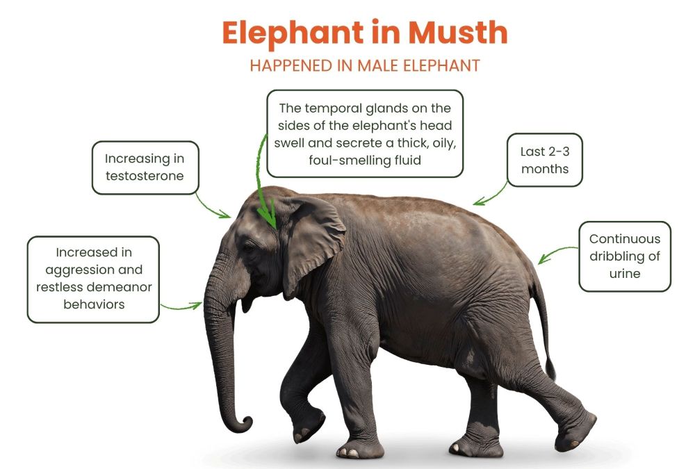 2025 ASEV - AMW Content Calendar (2)