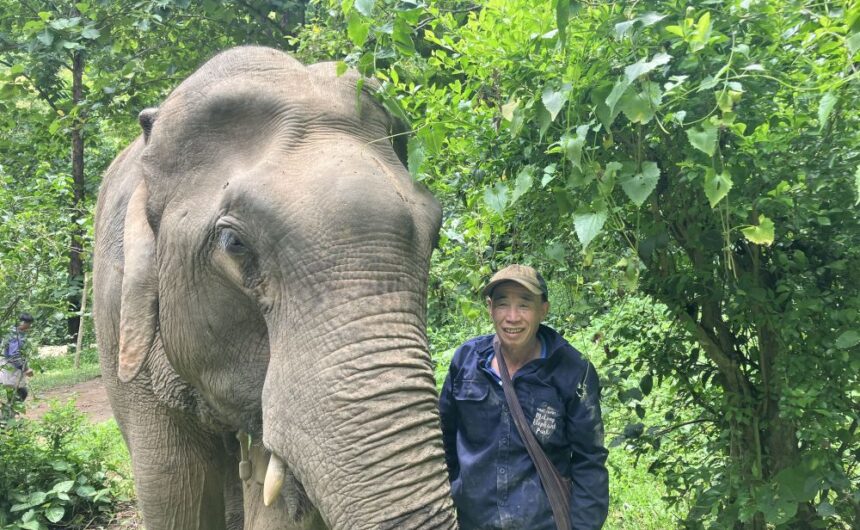 Dokeo, Noyin & Common Adventures