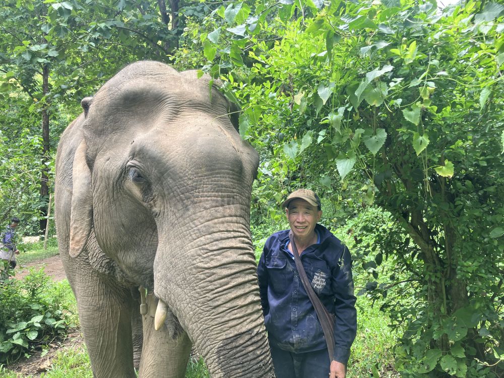 Dokeo, Noyin & Common Adventures