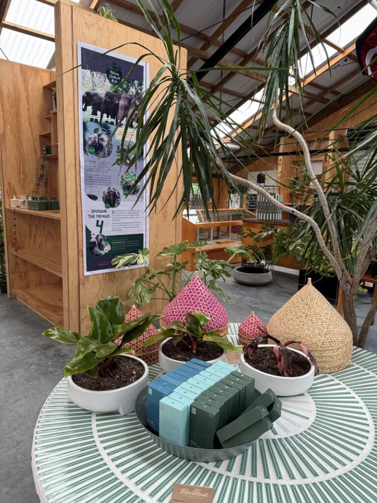 Get Rooted Plant Studio Mekong Sanctuary poster (1)