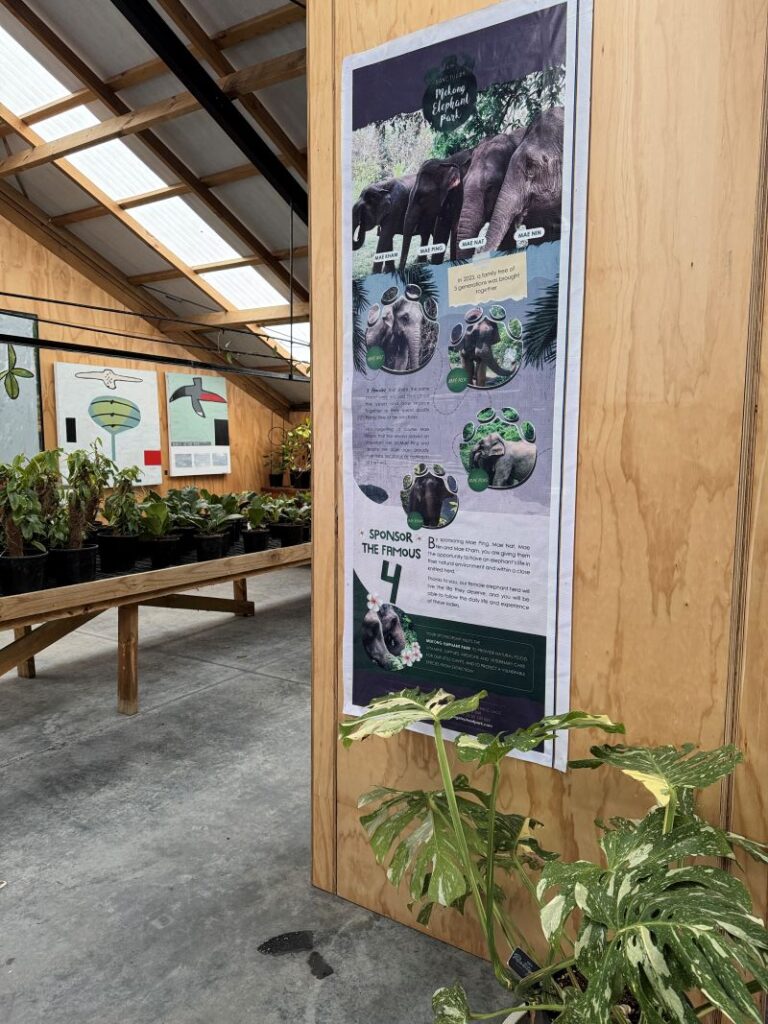 Get Rooted Plant Studio Mekong Sanctuary poster (1)