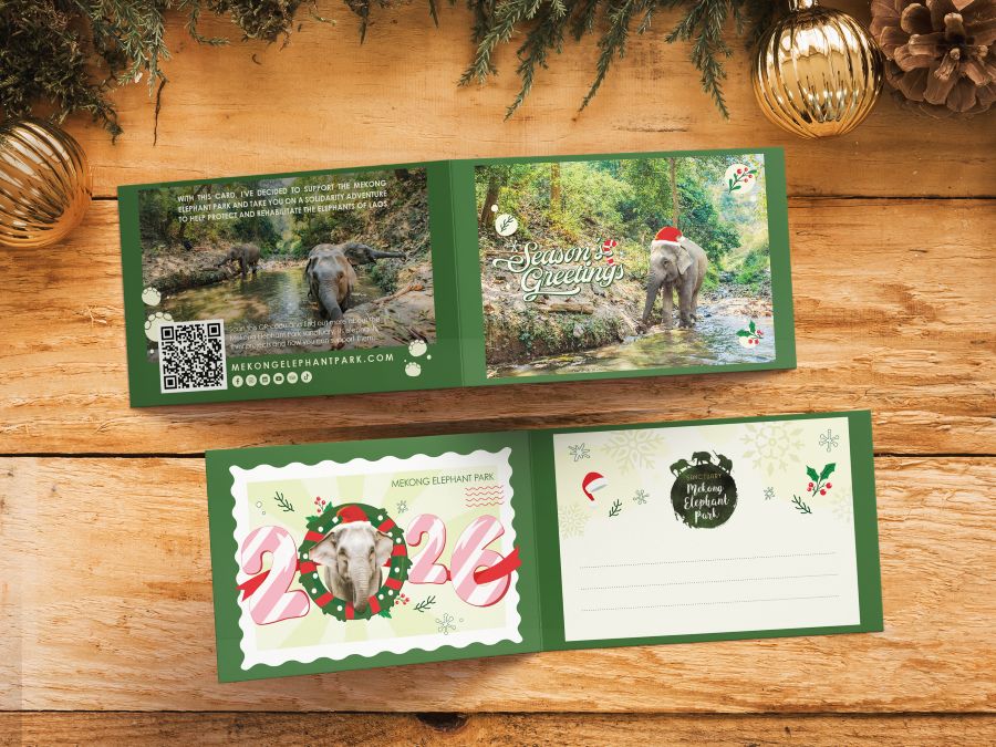 greetings cards mockup 2