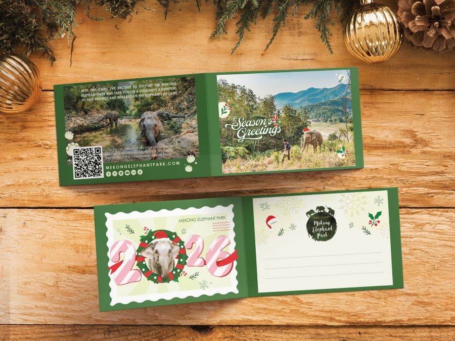 greetings cards mockup 3