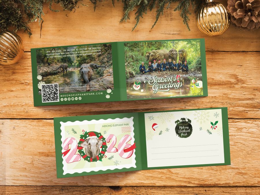 greetings cards mockup 4