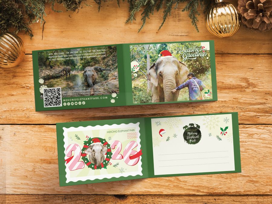 greetings cards mockup