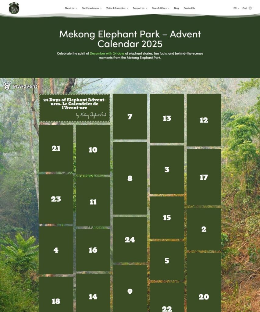 screencapture-mekongelephantpark-festivity
