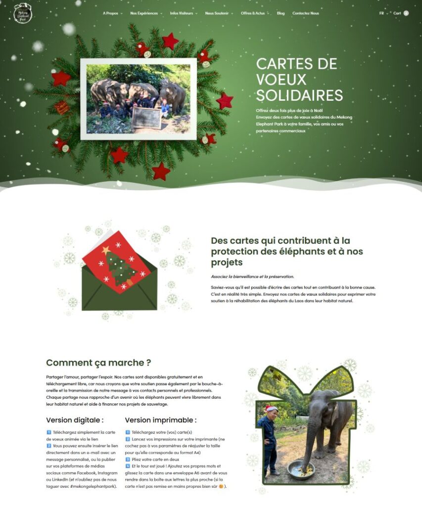 Consultez notre sélection