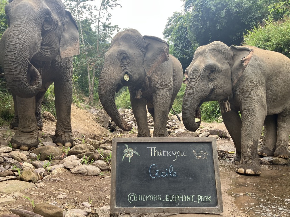 A simple, useful and heartfelt way to give differently.