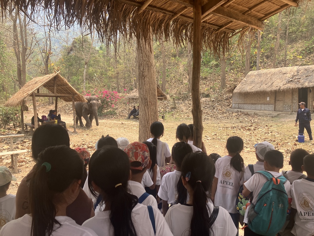 Educational programme with the three schools in Pakbeng