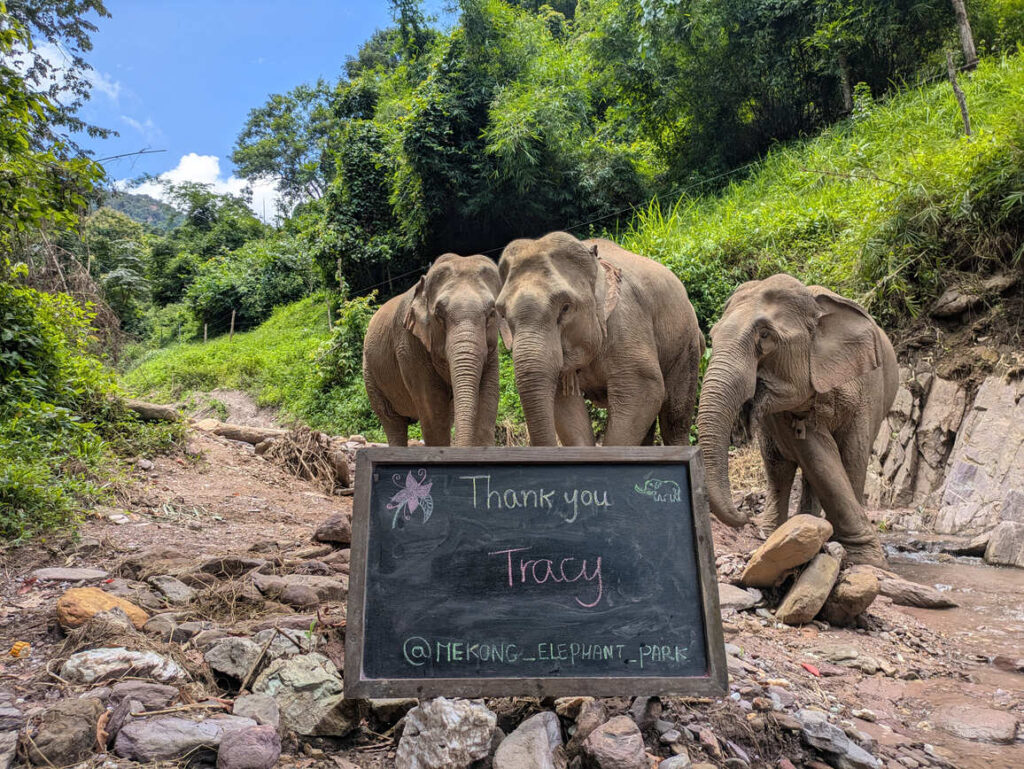 A simple, useful and heartfelt way to give differently.