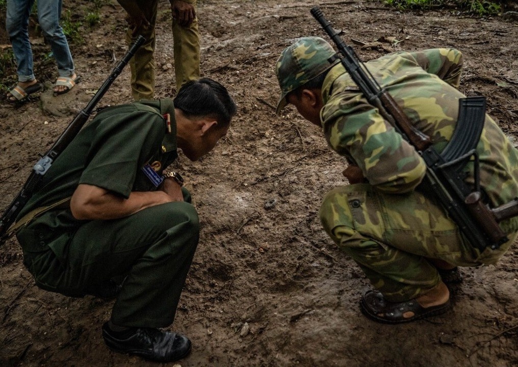 Strengthening patrols in protected areas