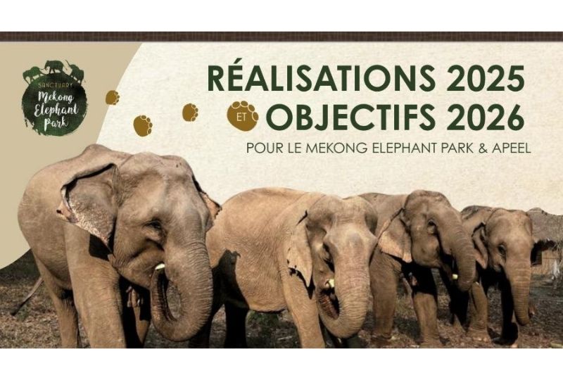 2025 ASEV - AMW Content Calendar (6)