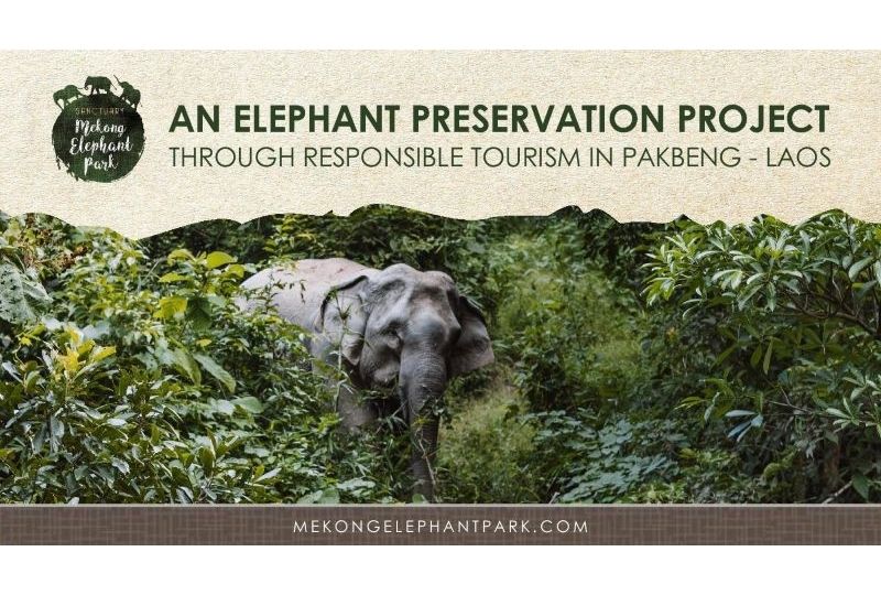 2025 ASEV - AMW Content Calendar (8)