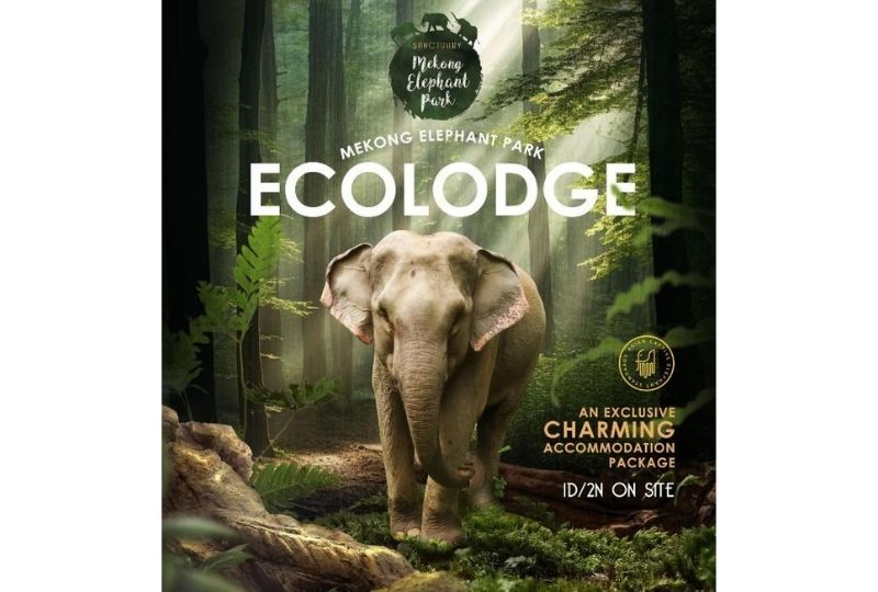 2025 ASEV - AMW Content Calendar (8)