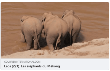 courrier_international_partie_1