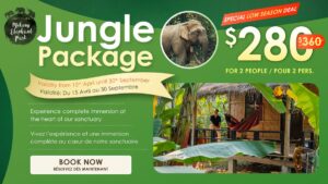 MEP-PROMO JUNGLE ACCOMODATION 2026 12