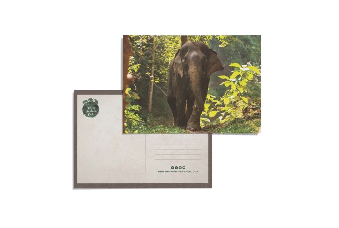 mekong-elephant-park-postcard-3