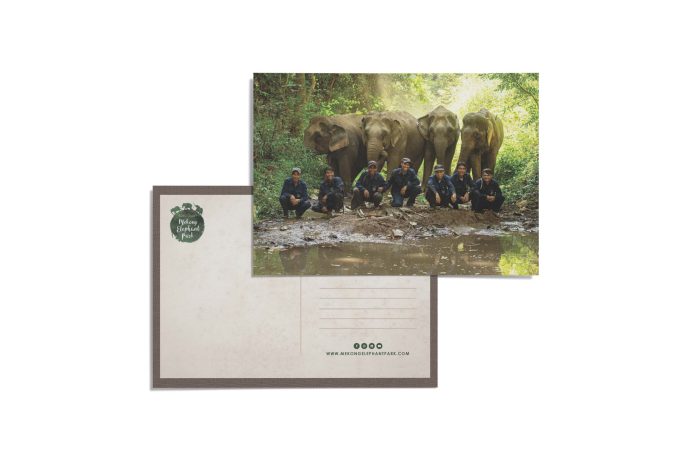 mekong-elephant-park-postcard-4