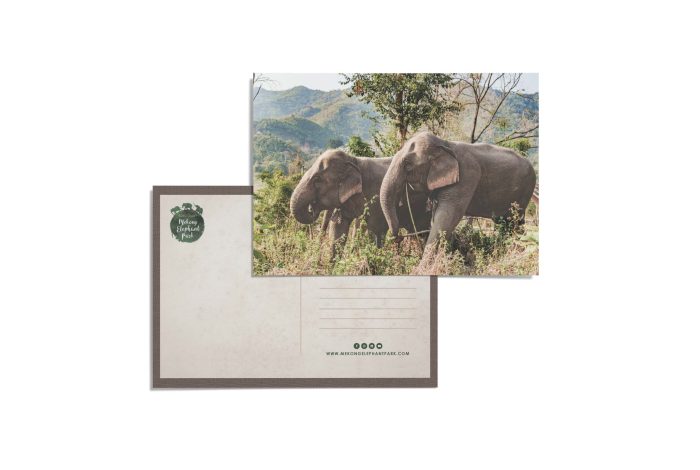 mekong-elephant-park-postcard-6