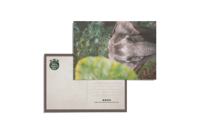 mekong-elephant-park-postcard-9